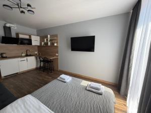 Lem apartment TUT
