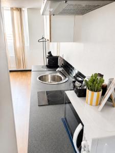 Duplex Royal AmiensGare