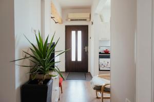 Apartma Severada