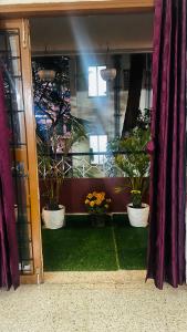 Ss antique spacious apartment