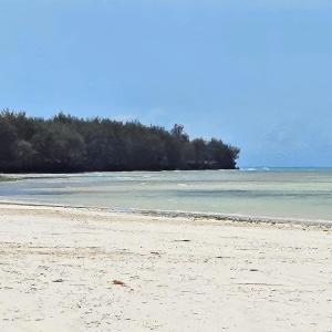Beachfront Apartment, Terrace Onto Sand - Uroa, Zanzibar