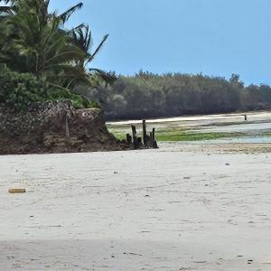 Beachfront Apartment, Terrace Onto Sand - Uroa, Zanzibar