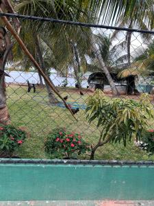 Lagoon View Stay in Negombo