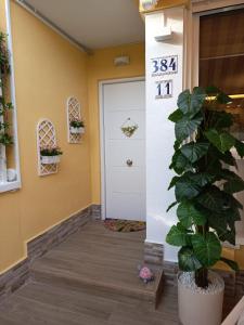 La Casa de la Primavera