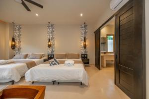 Luxury Villa with Private Pool in Playacar