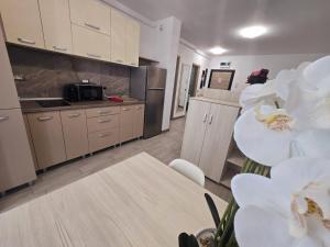 Superb SeaSide Holiday Apartment - Piscine Exterioare Sauna Gym langa plaja
