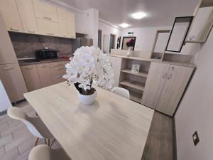 Superb SeaSide Holiday Apartment - Piscine Exterioare Sauna Gym langa plaja