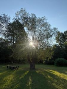 DOMEK CICHY ZAKĄTEK Olszanka