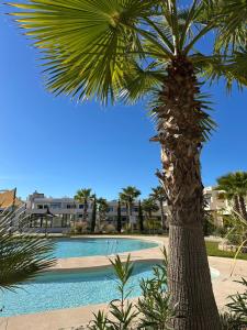Exotic Gardens Apartment Costa Blanca