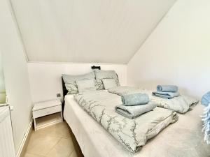 Lelle Udvar 8 AC Free parking