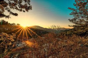 Hillside Cabin Cozy 2BHK BY 8MH Kasauli- Dharampur