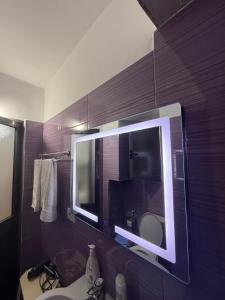 Amelia apartment