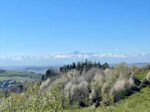 Restored Rustic Retreat in the Langhe