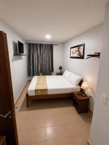 Borus Hotel