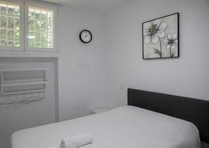 Rooms Chima