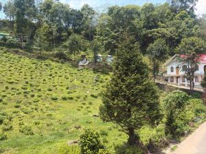 Rajeshswari Homestay