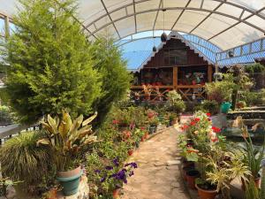 Rajeshswari Homestay