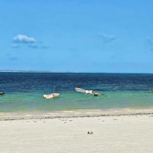 Wide Ocean Views - Two Bedrooms - Uroa Beachfront