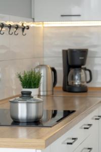 Spacious Apartment with Air Conditioning, Desk and Balcony by Noclegi Renters