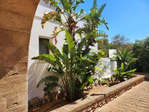 Masseria SoleMare Gallipoli