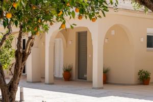 Kipos Zante Residence
