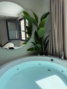 Panorama Suites