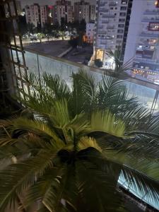 Appartement garden