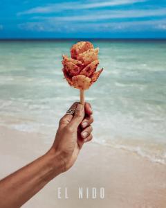 Boutique Hotel EL NIDO Holbox