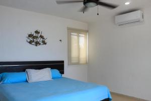 Psara Beachfront house