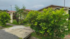 La Casita del Jardín