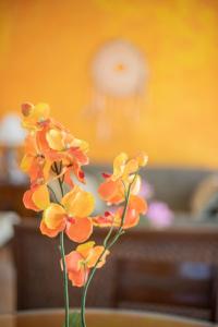 5 bedrooms Private house with pool in Chetumal