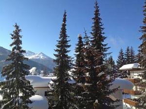 Ferienwohnung Parkareal Davos