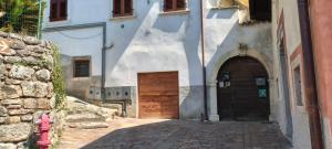LOlivo tra le rocce