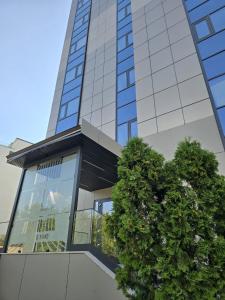 Central Rin Residence