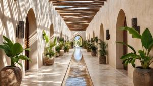 Riad Cobá