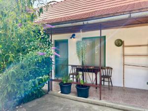 Nest Apartman