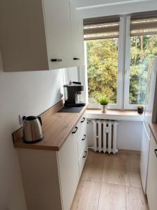 Apartament na Morelowej