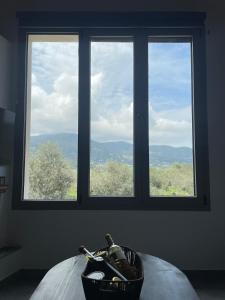 Faos residence II
