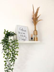 Gradina YoSoyLavanda