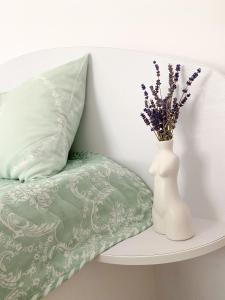 Gradina YoSoyLavanda