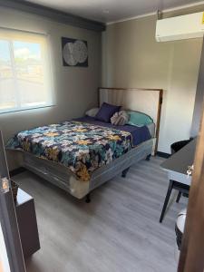 El Platillo Loft, Luz de Ely