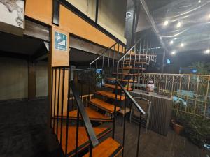 El Platillo Loft, Luz de Ely
