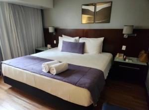 São Paulo Wynd Hotel