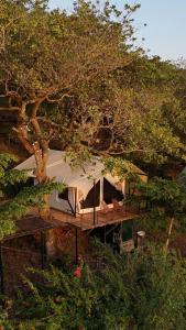 Tropical eglamping