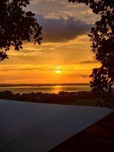 Tropical eglamping