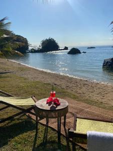Ankavia Lodge