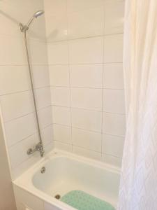 Arriendo de Casa Amoblada
