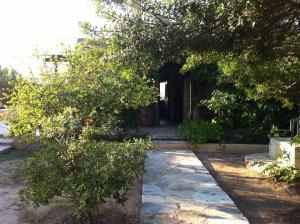 Aigina 3 Bedroom House by the Sea Aegina Greece