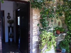 Aigina 3 Bedroom House by the Sea Aegina Greece