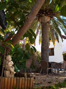 Hotel Club Can Jordi